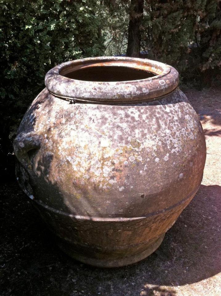 Agriturismo Il Palazzaccio Βίλα Galliano Εξωτερικό φωτογραφία
