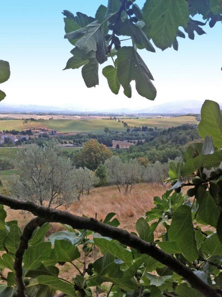 Agriturismo Il Palazzaccio Βίλα Galliano Εξωτερικό φωτογραφία