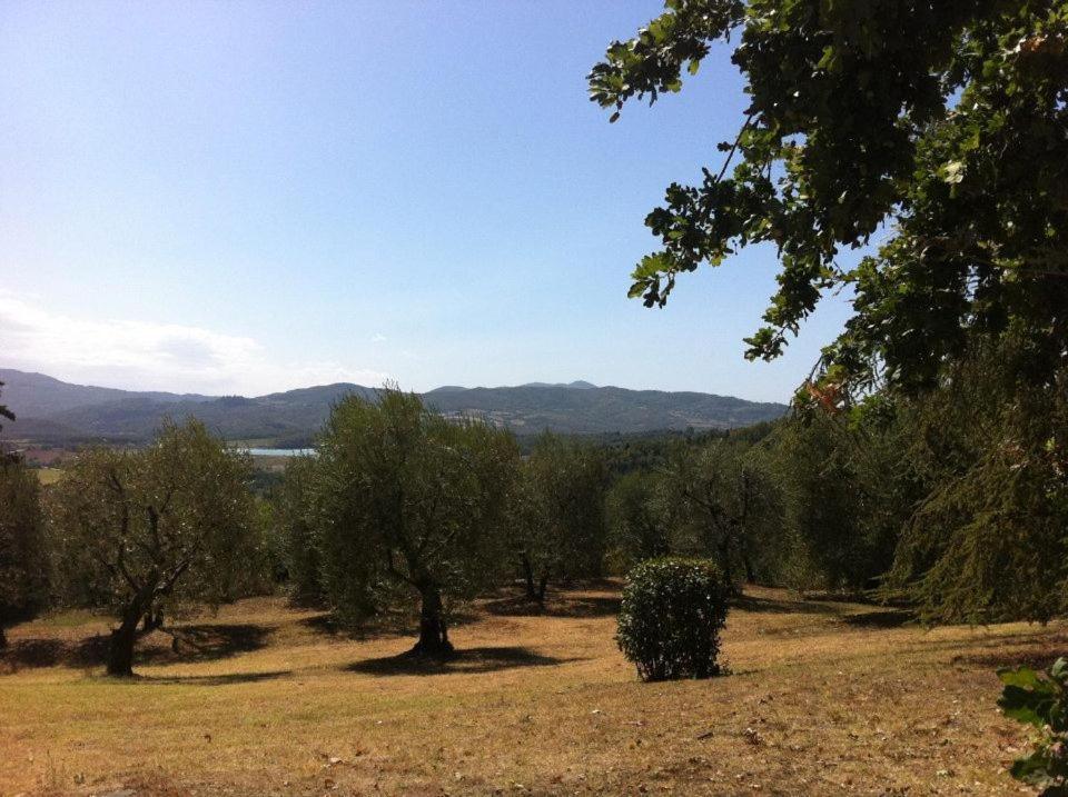 Agriturismo Il Palazzaccio Βίλα Galliano Εξωτερικό φωτογραφία